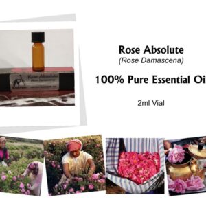 ROSE ABSOLUTE - 100% PURE Rose Damascena - 2ml Vial