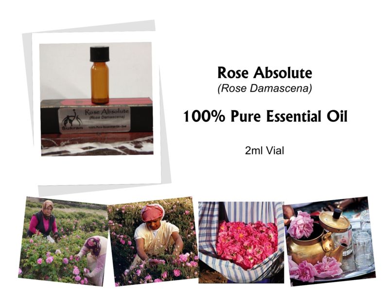 ROSE ABSOLUTE - 100% PURE Rose Damascena - 2ml Vial